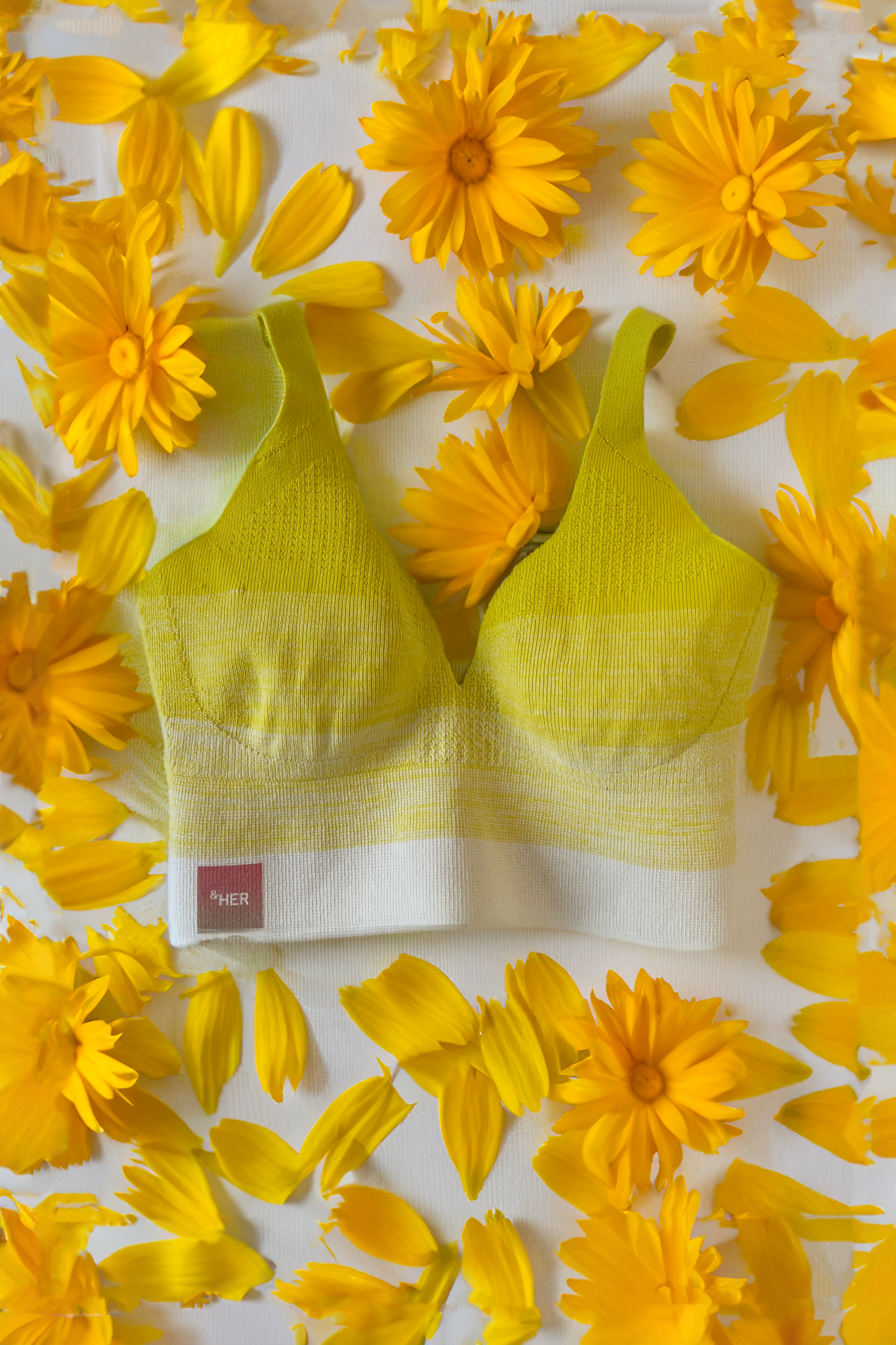 Sunrise Ombre Crop